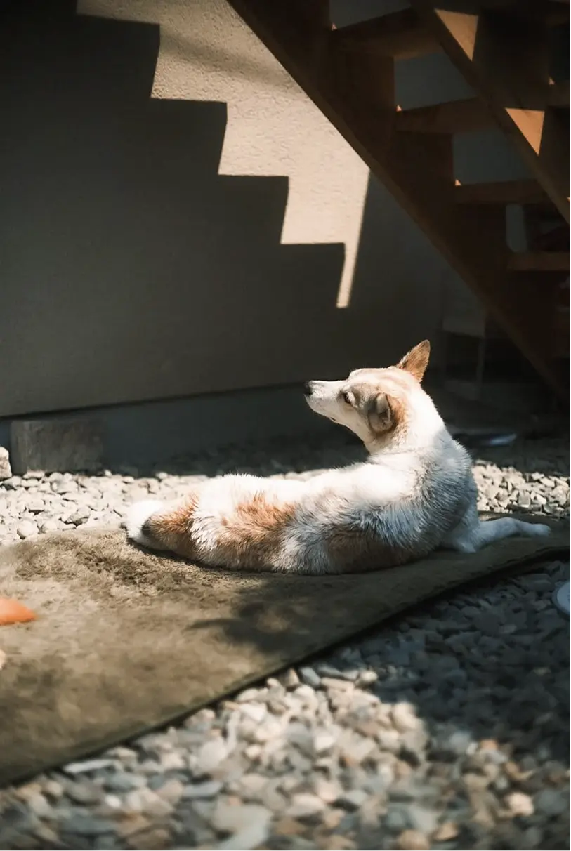 ギャラリーの画像1