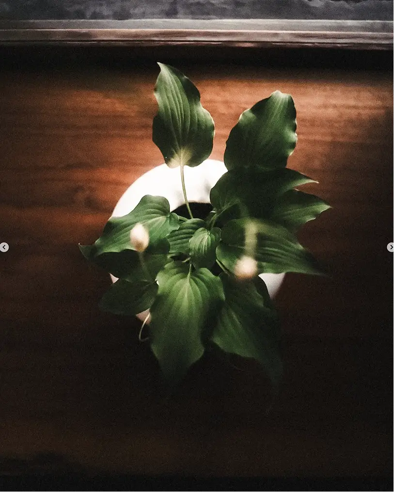 ギャラリーの画像1