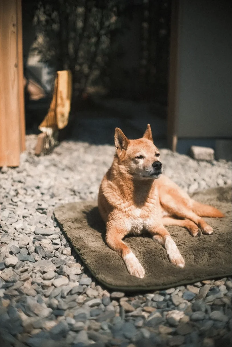 ギャラリーの画像1