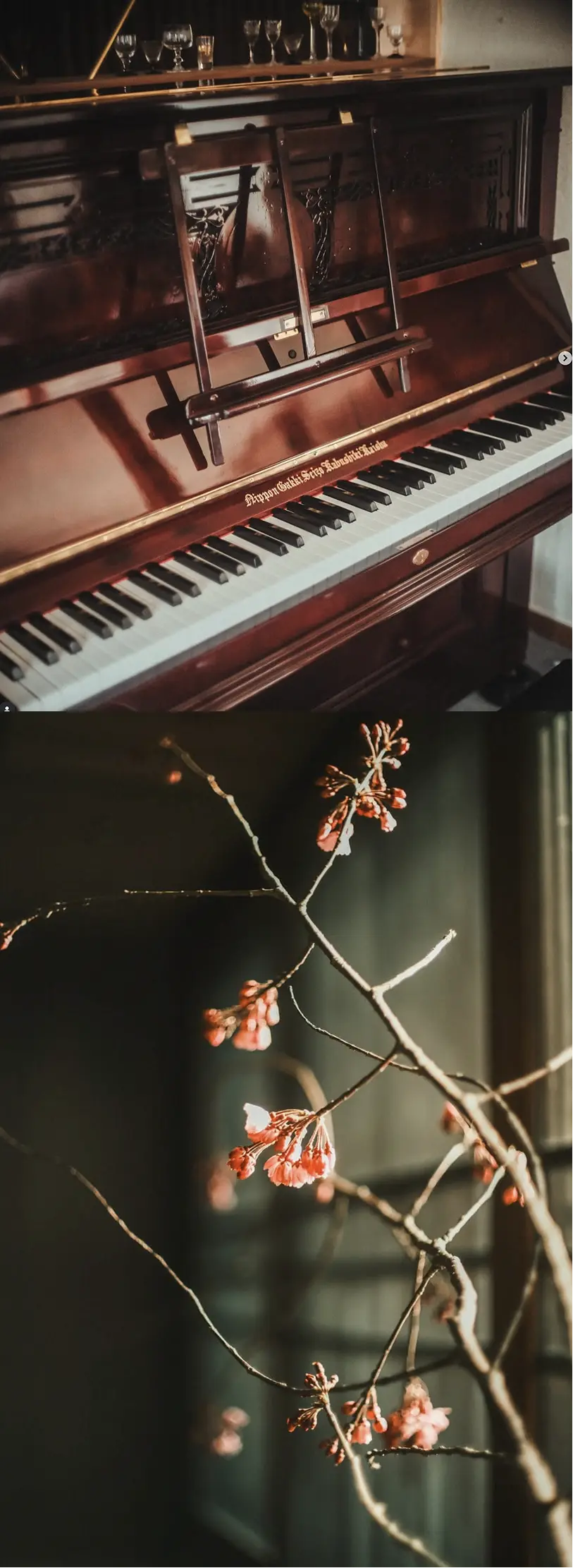 ギャラリーの画像1